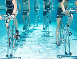 Wetfit Aqua Gym Manufacturer in Indore